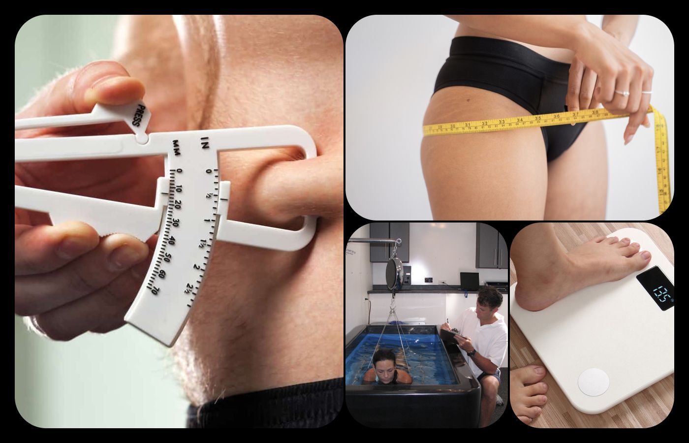 How does a scale calculate your body fat, muscle mass, BMI, etc