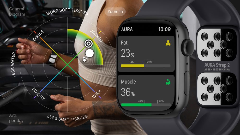 Body Composition Definition, Analysis Methods & Key Health Parameters